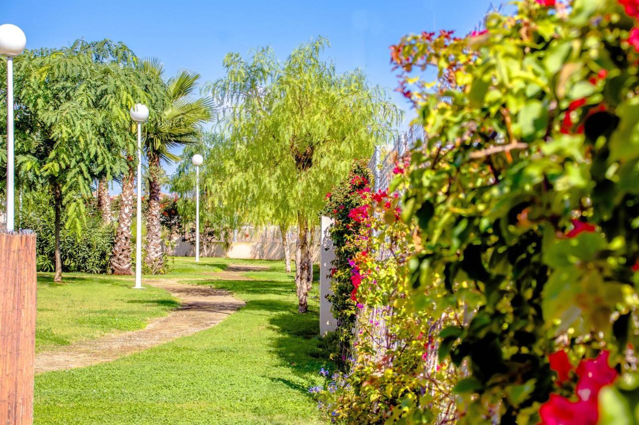 Playa Flamenca Apart Olga Dehesa de Campoamor  Экстерьер фото